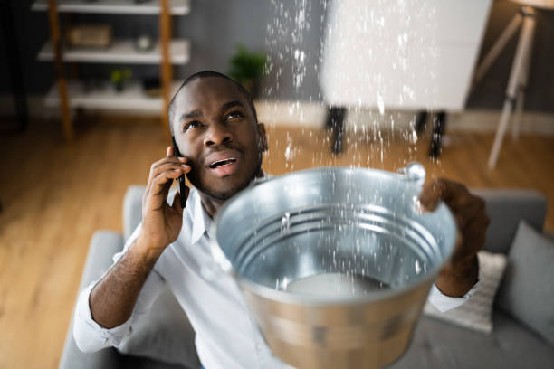 Best Sewage cleanup and water damage restoration  in Tallapoosa, GA