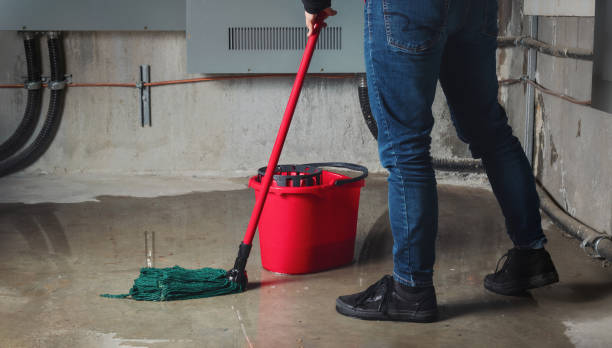 Best Water damage contractors near me  in Tallapoosa, GA