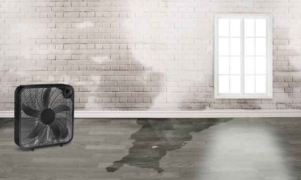Sewage cleanup and water damage restoration in GA