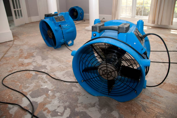 Local water damage restoration in GA