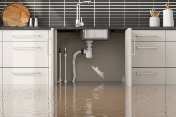 Best Professional water damage repair  in Tallapoosa, GA