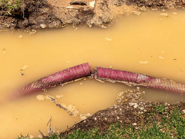 Best Commercial water damage restoration  in Tallapoosa, GA