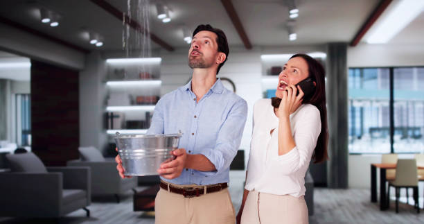 Best Local water damage restoration  in Tallapoosa, GA