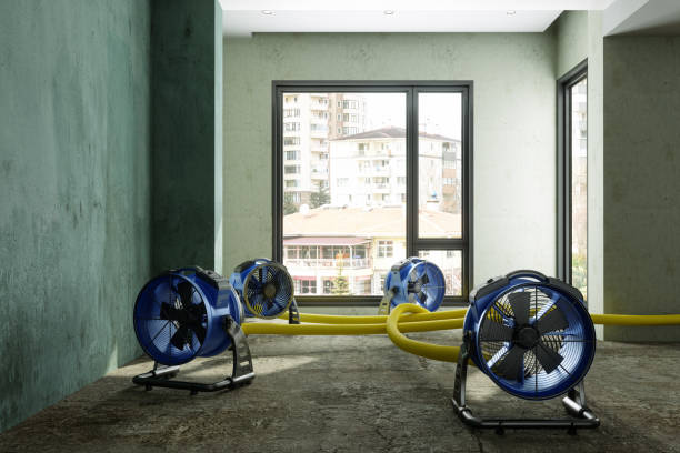 Best Water damage restoration near me  in Tallapoosa, GA