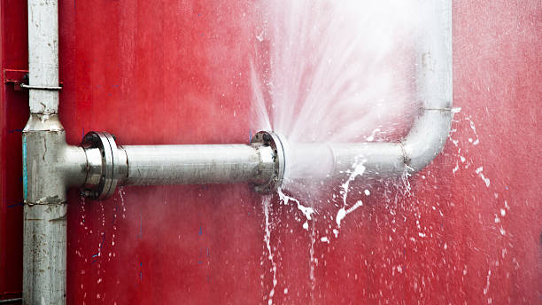 Best Flooded house restoration  in Tallapoosa, GA